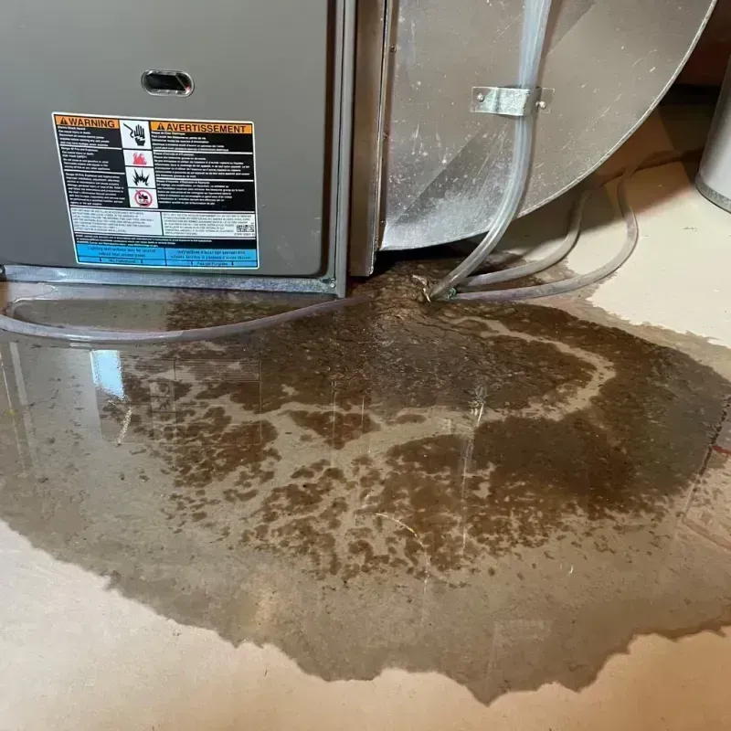 Appliance Leak Cleanup in Garner, IA